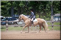 4H-Fun-Show-060912-490.JPG