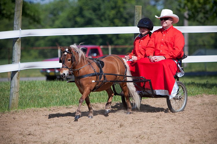 4H-Fun-Show-060912-208.JPG