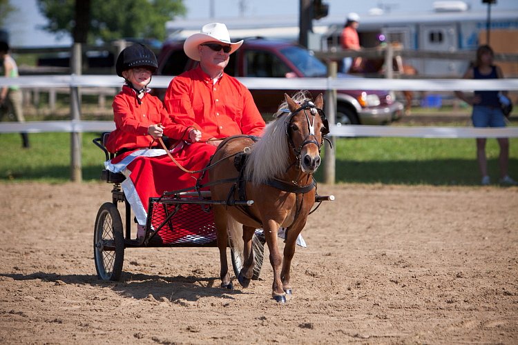 4H-Fun-Show-060912-212.JPG