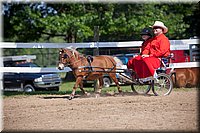 4H-Fun-Show-060912-204.JPG