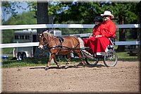 4H-Fun-Show-060912-205.JPG