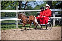 4H-Fun-Show-060912-206.JPG