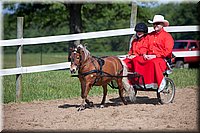 4H-Fun-Show-060912-209.JPG