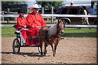 4H-Fun-Show-060912-211.JPG