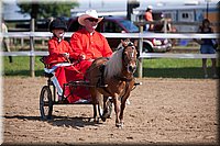 4H-Fun-Show-060912-212.JPG