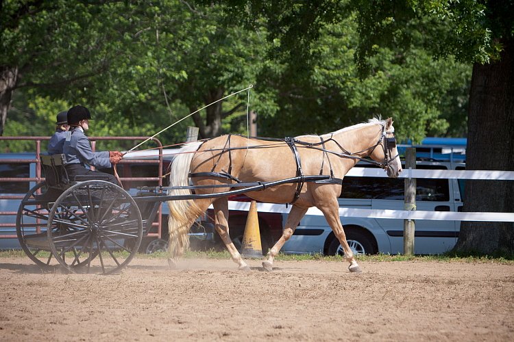 4H-Fun-Show-060912-216.JPG