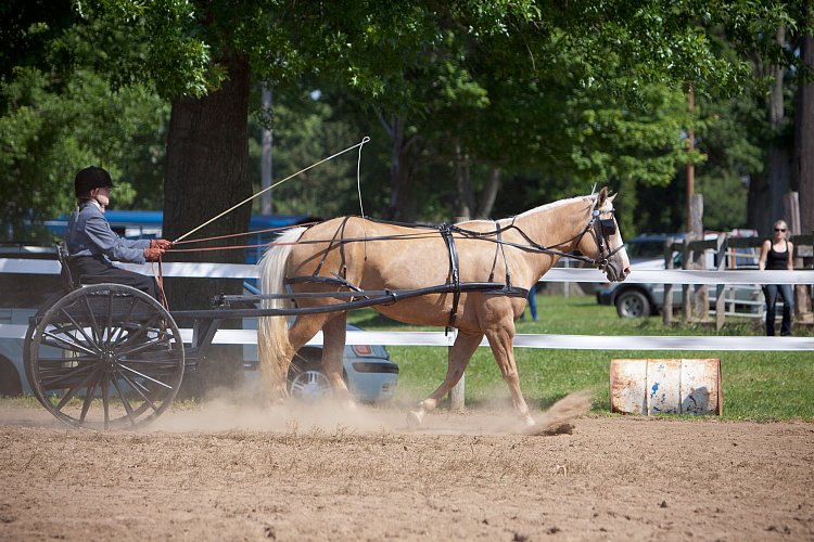 4H-Fun-Show-060912-217.JPG