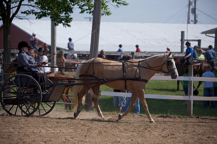 4H-Fun-Show-060912-220.JPG