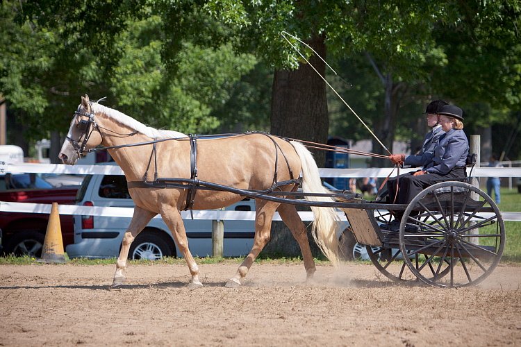 4H-Fun-Show-060912-221.JPG