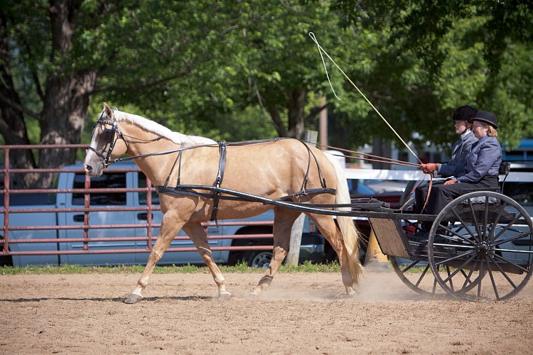 4H-Fun-Show-060912-222.JPG