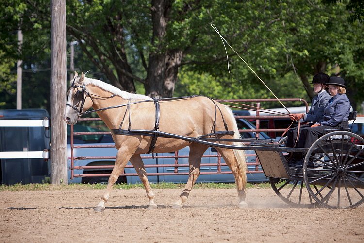 4H-Fun-Show-060912-223.JPG