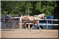 4H-Fun-Show-060912-216.JPG