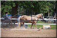 4H-Fun-Show-060912-217.JPG