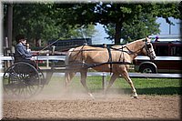 4H-Fun-Show-060912-218.JPG