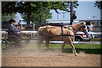 4H-Fun-Show-060912-219.JPG