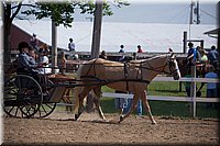 4H-Fun-Show-060912-220.JPG