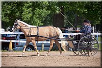 4H-Fun-Show-060912-221.JPG