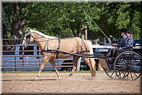 4H-Fun-Show-060912-222.JPG