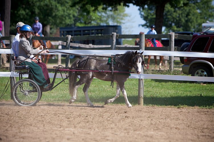 4H-Fun-Show-060912-189.JPG