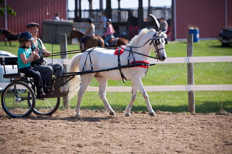 4H-Fun-Show-060912-190.JPG