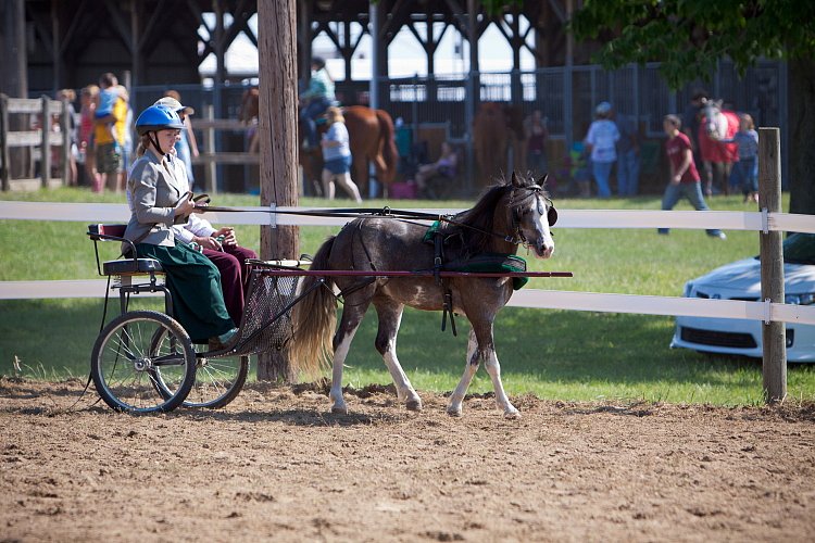 4H-Fun-Show-060912-191.JPG