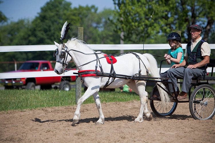 4H-Fun-Show-060912-192.JPG