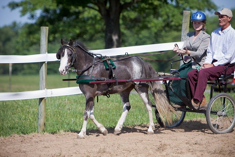 4H-Fun-Show-060912-193.JPG