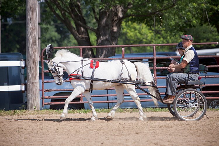 4H-Fun-Show-060912-195.JPG