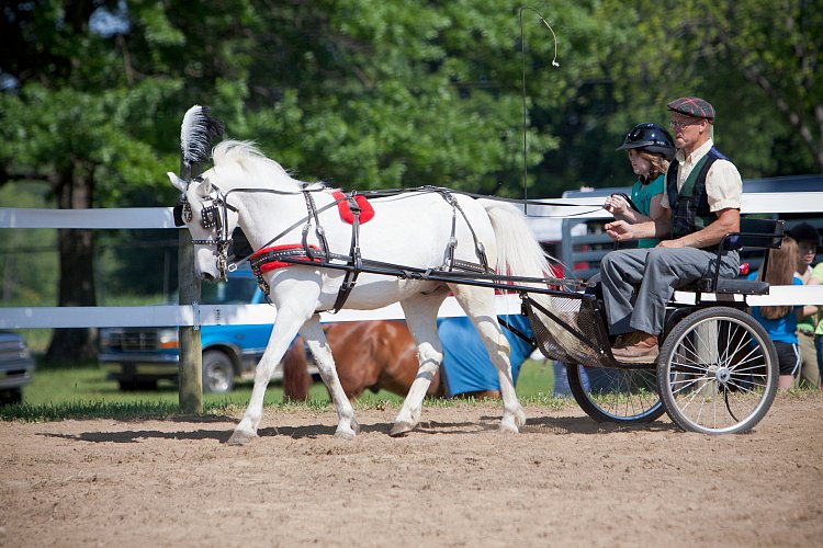 4H-Fun-Show-060912-197.JPG