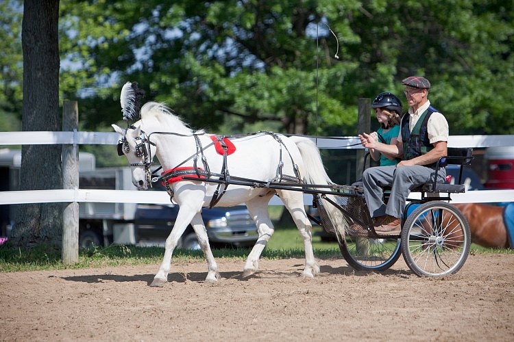 4H-Fun-Show-060912-198.JPG