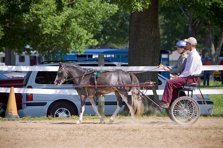 4H-Fun-Show-060912-200.JPG