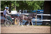 4H-Fun-Show-060912-188.JPG