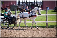 4H-Fun-Show-060912-190.JPG