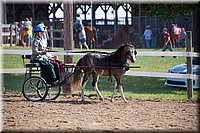 4H-Fun-Show-060912-191.JPG