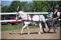 4H-Fun-Show-060912-192.JPG