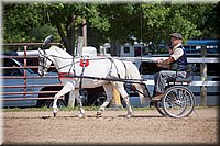 4H-Fun-Show-060912-194.JPG