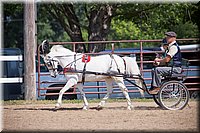 4H-Fun-Show-060912-195.JPG