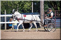 4H-Fun-Show-060912-196.JPG