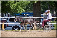 4H-Fun-Show-060912-200.JPG