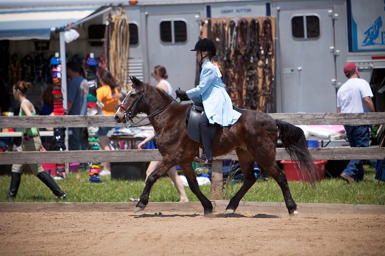 4H-Fun-Show-060912-574.JPG