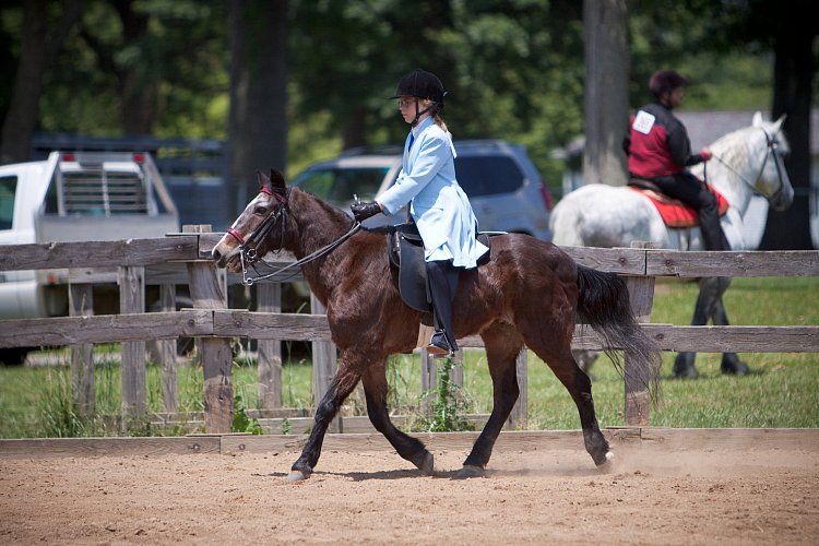 4H-Fun-Show-060912-576.JPG