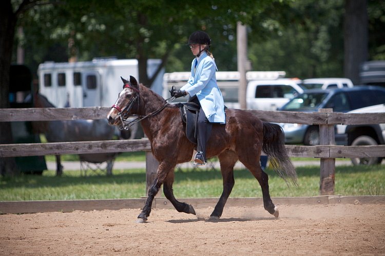 4H-Fun-Show-060912-577.JPG