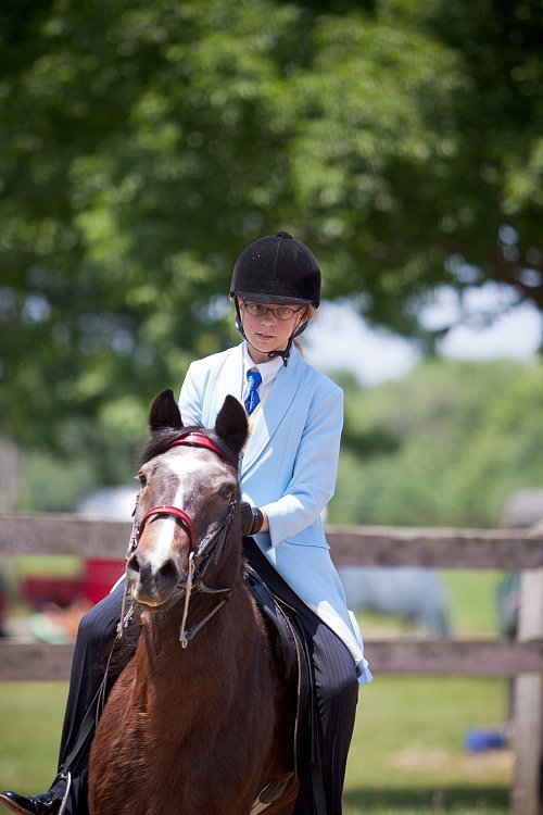 4H-Fun-Show-060912-578.JPG