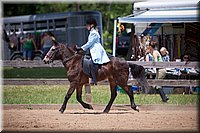 4H-Fun-Show-060912-575.JPG