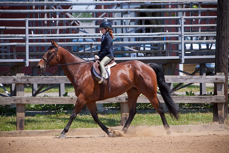 4H-Fun-Show-060912-451.JPG