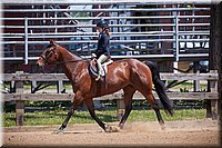 4H-Fun-Show-060912-451.JPG