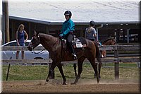 4H-Fun-Show-060912-452.JPG