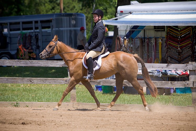 4H-Fun-Show-060912-466.JPG