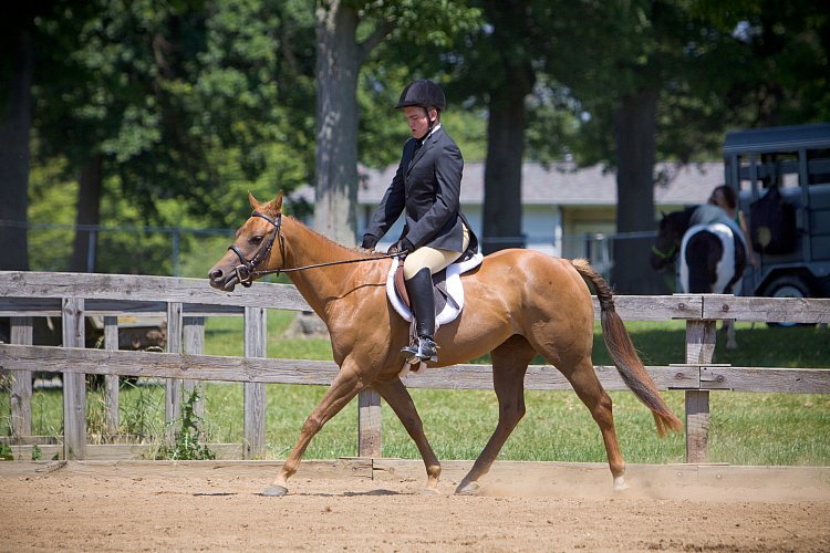 4H-Fun-Show-060912-467.JPG