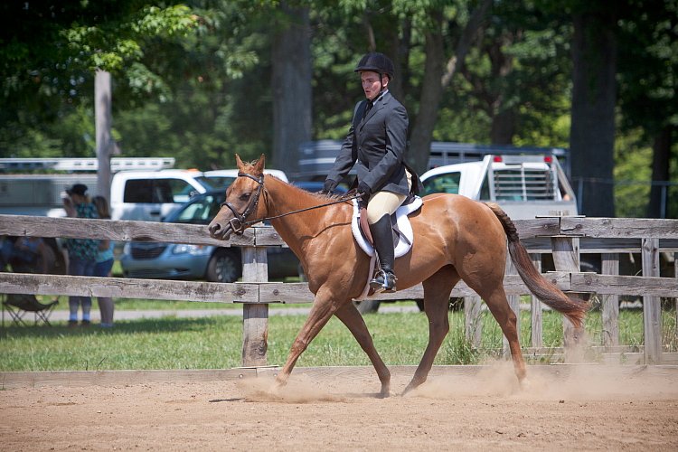 4H-Fun-Show-060912-468.JPG